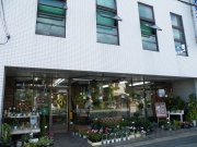 「坂本好花園」　（栃木県栃木市）の花屋店舗写真1